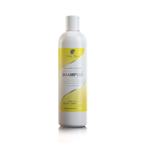Kinky Tresses Avocado Infusion Sulfate-free Moisturizing Shampoo - Beauty Bar & Supply